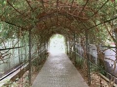 -T80科技文化国际社区-停车场