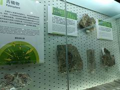 -浙江自然博物院(杭州馆)