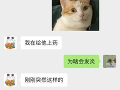 -屋虎猫馆(宝安大仟里店)