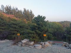 -大兴滨河森林公园