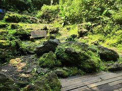 -海口火山口国家地质公园