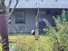 -沈阳森林动物园