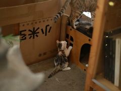 -行人小筑·茶馆(岑村火炉山分店)