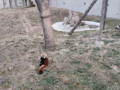 -石家庄市动物园