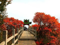 -焦作青龙峡风景名胜区