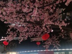 -荷塘秋月·本帮江浙菜(国权路店)