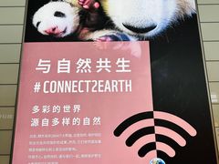 -郑州新郑国际机场-T2航站楼
