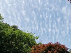 -宁海森林温泉