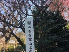 -有栖山 清光院 清水寺