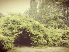 -回龙观体育文化公园