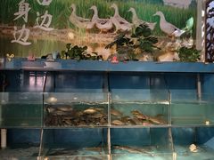 -湘当有味(宋诏桥一店)