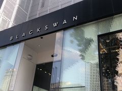 门面-BLACKSWAN黑天鹅(环球店)