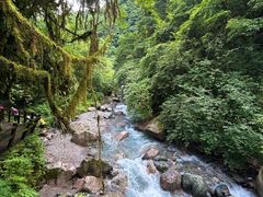 -西岭雪山大飞水景区
