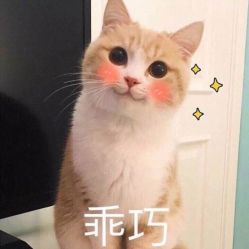 -明星刺青·洗纹身