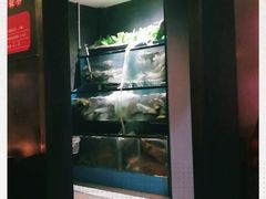 -老板恋上鱼(高新万达店)