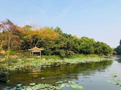 -星湖旅游景区七星岩