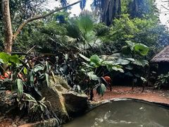 -海南热带野生动植物园