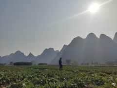 -村上春树