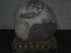 android_upload_pic-中华赏石园