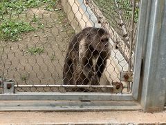 -哈尔滨北方森林动物园