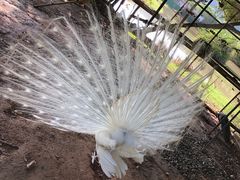 -水底山庄园温泉