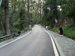 -岳麓山风景名胜区