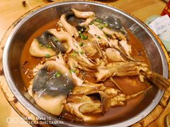 -9号小厨师(端平桥店)