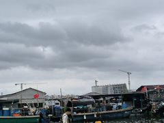 -蓝湾碧波·老字号·疍家非遗海上餐厅