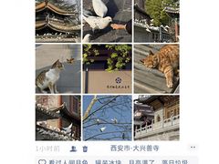 -大慈恩寺(大雁塔)