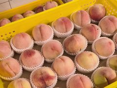 -老袁家蜜桃农场·阳山水蜜桃