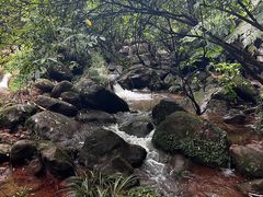 -赤水丹霞旅游区·佛光岩