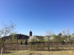 -永定河休闲森林公园