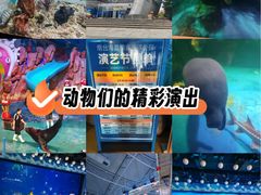 -烟台海昌鲸鲨海洋公园