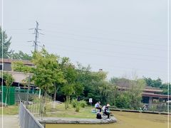 -两河城市森林公园