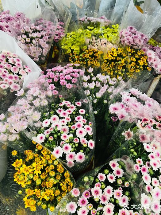 循礼门鲜花花市(武汉循礼门店)图片