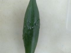 -华莱士·炸鸡汉堡(福德店)