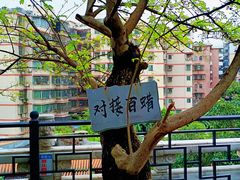 -东江渔村·古典园林·30年粤菜老字号(太和店)