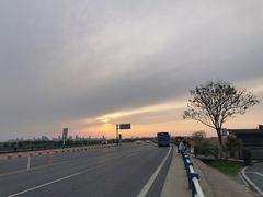 -合肥滨湖国家森林公园