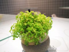 -开心糖水铺(天府三街店)