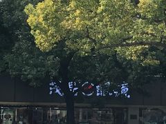 -吴良材眼镜(南翔印象城MEGA店)