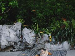 -南京民俗博物馆(甘熙故居)