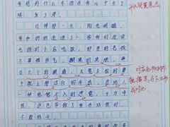 -学知乐教育·幼小衔接·小学科辅导(嘉定镇校区)