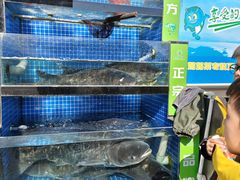-好灶头妈妈菜(珍珠半岛店)
