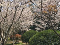 -堤角公园