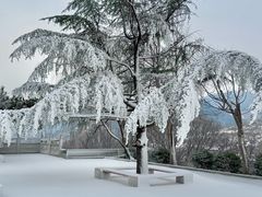 -沂蒙山旅游区云蒙景区(蒙山国家森林公园)