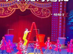 -珠海横琴长隆《卡卡虎奇遇记》