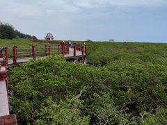 -北海金海湾红树林生态旅游区