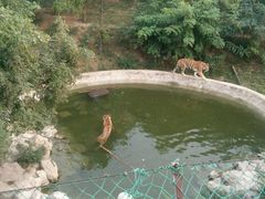 -辛玛王国游乐园