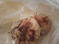 烧饼-清真-戏楼王记牛肉面