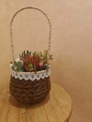 -御品•瑶浴灸疗SPA